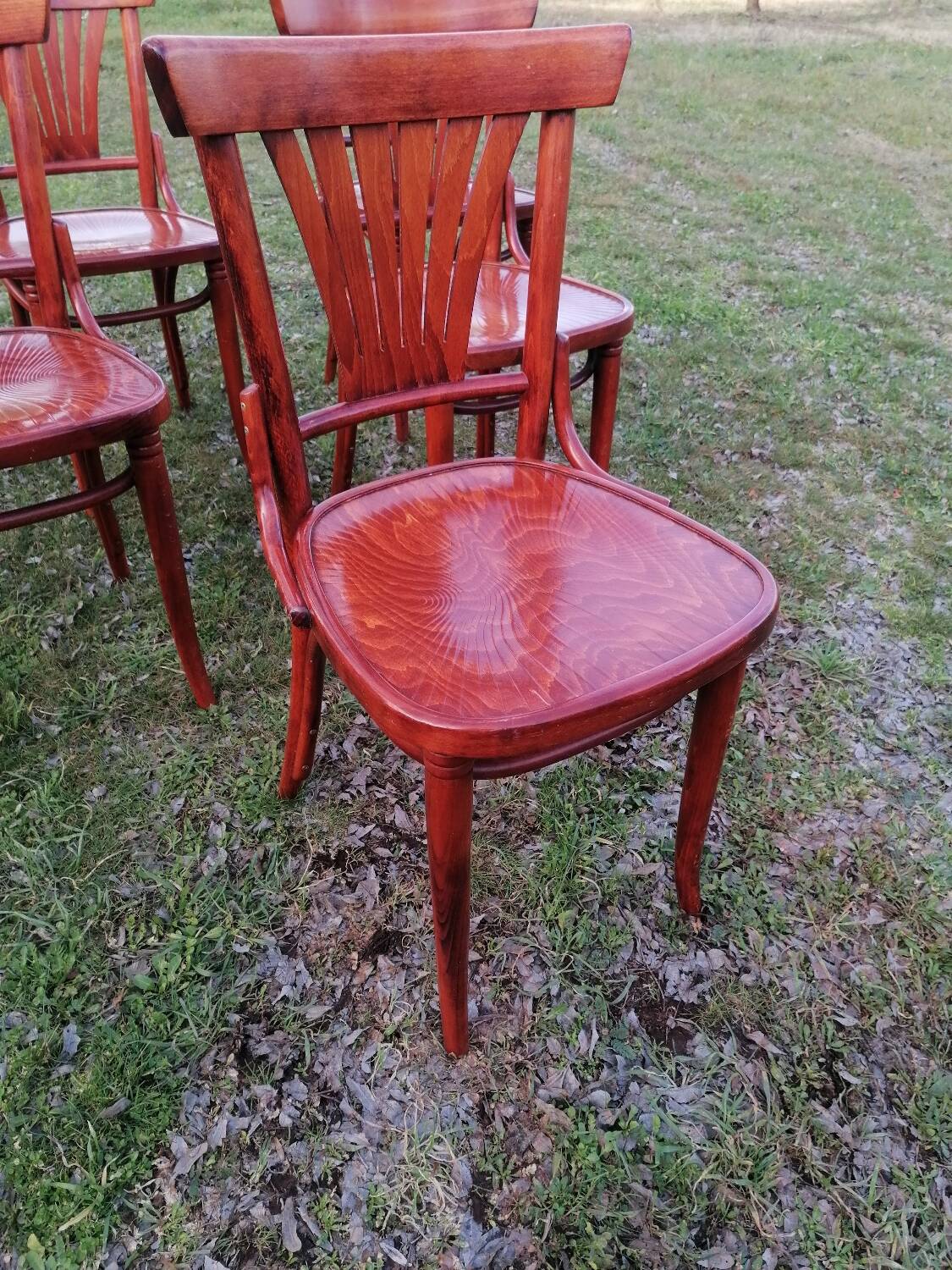 Set of 6 vintage bentwood bistro chairs