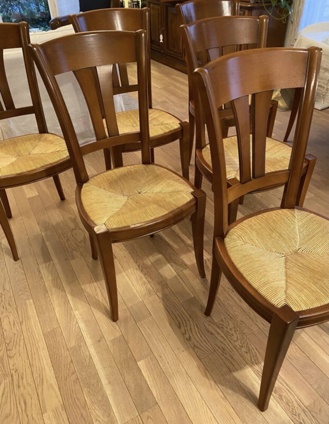Lot 6 chaises Camaret hêtre
