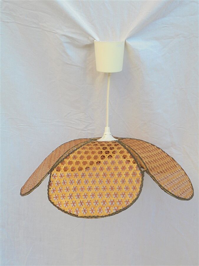 Wicker suspension