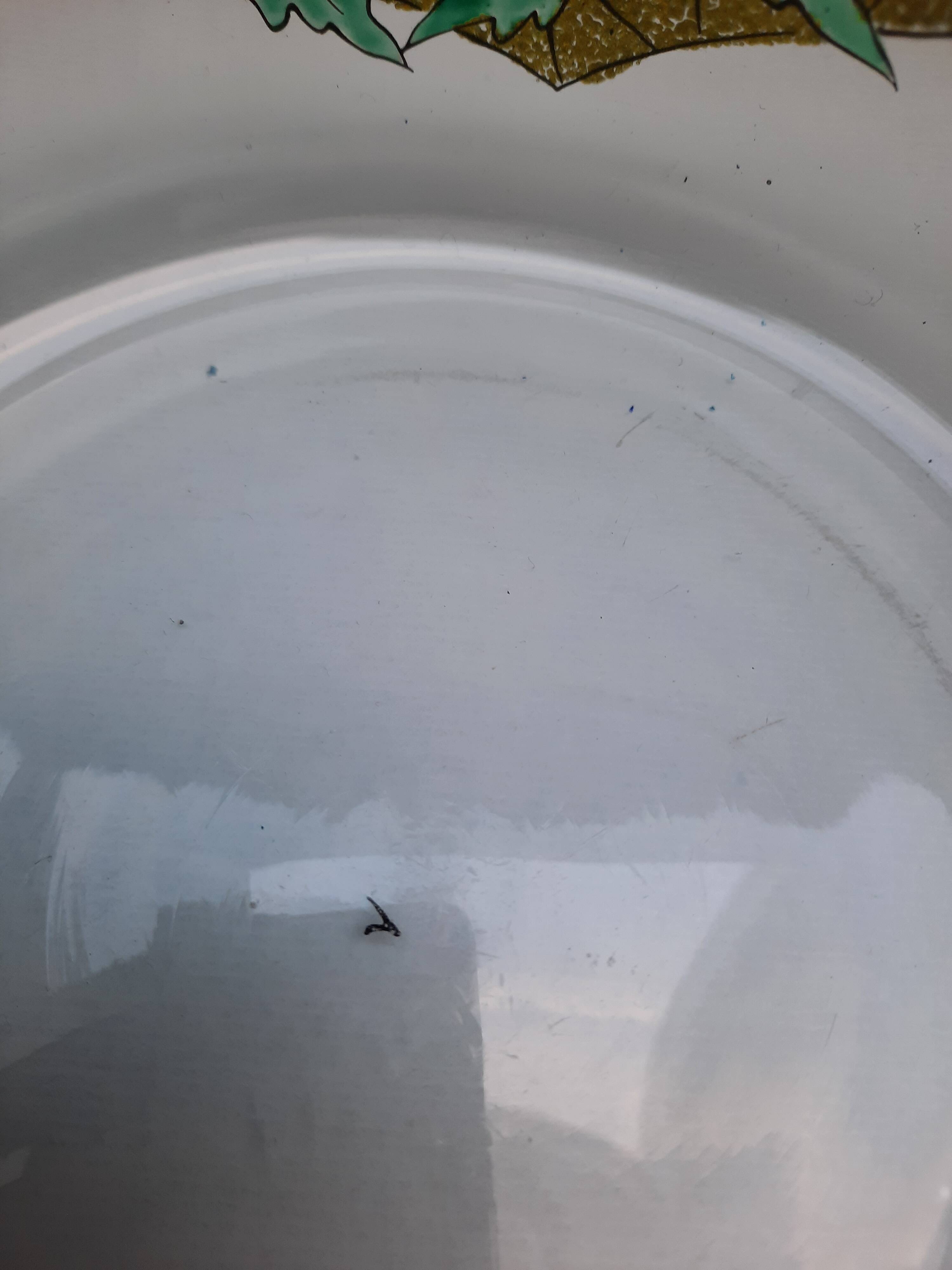 Signed Mazoyer cup. Art Deco enameled glass, 1920-1930.