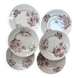 6 plates butterflies terre de fer p&r