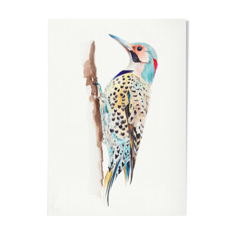 Original Watercolor Illustration "Woodpecker"