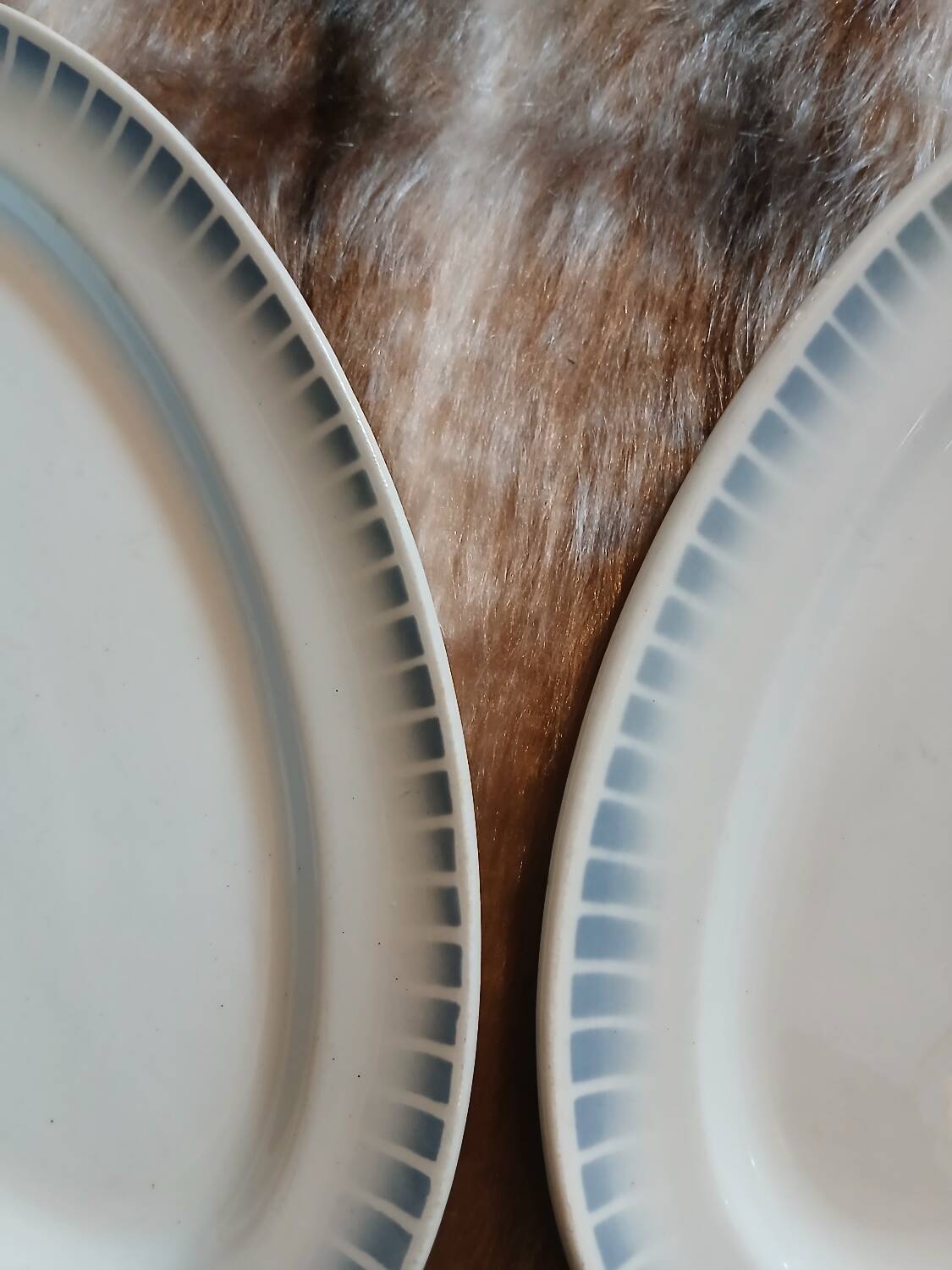 2 antique Saint Amand dishes