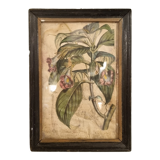 Floral engraving late 18th