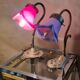Artdeco brass lamp with pretty antique tulip 25x20