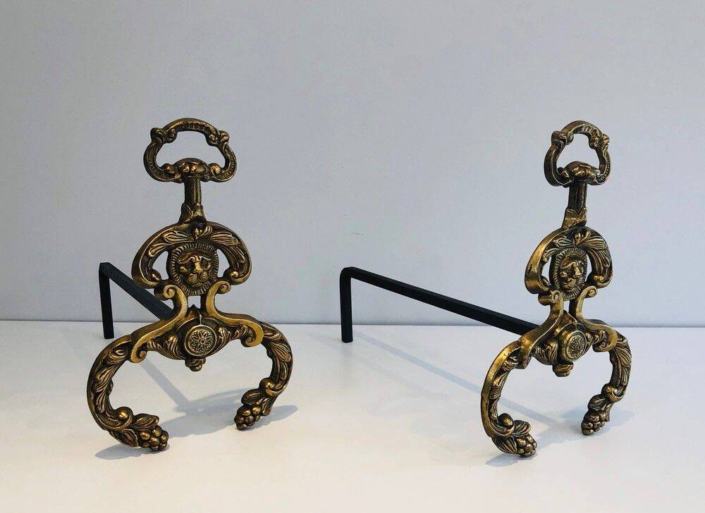 Pair of neoclassical andirons in bronze and wrought iron