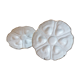 Two oyster plates, porcelain de Limoges, circa 1970