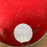 Frame vintage dried flowers