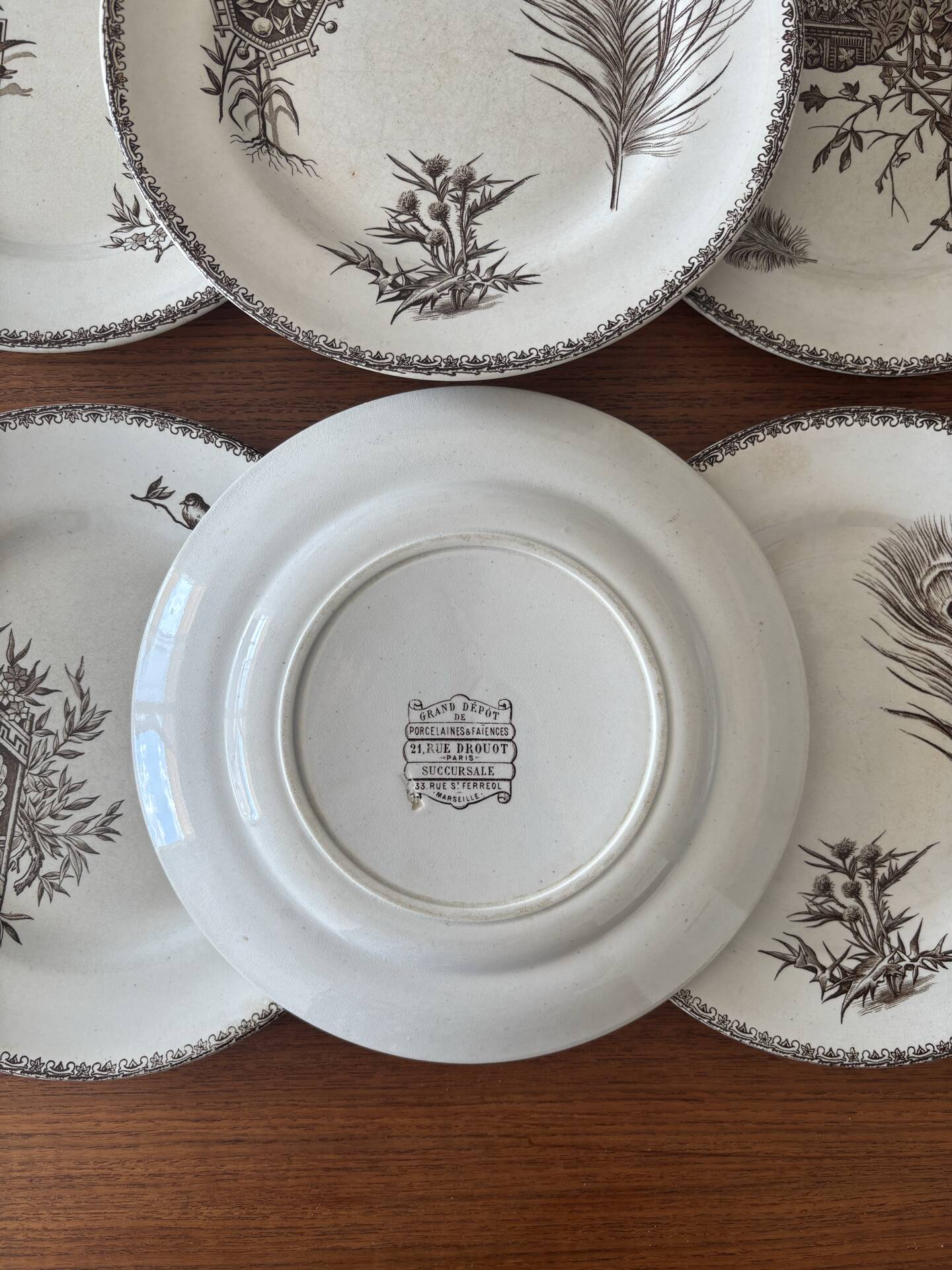 6 ironstone sepia plates | Grand Depot of Porcelains & Earthenware