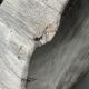 Black petrified wood bookend H17 L17 P6