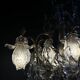 19th Century Cage Chandelier in Crystal and Gilded Bronze (Good Quality)