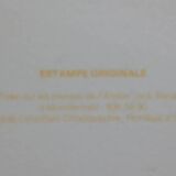 Lithographie Hans Hartung 1976 - Atelier Jack Renaud (Tirage 300 ex)