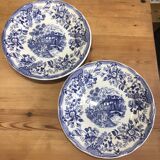 Set of 2 landscape and blue flower plates Promogros