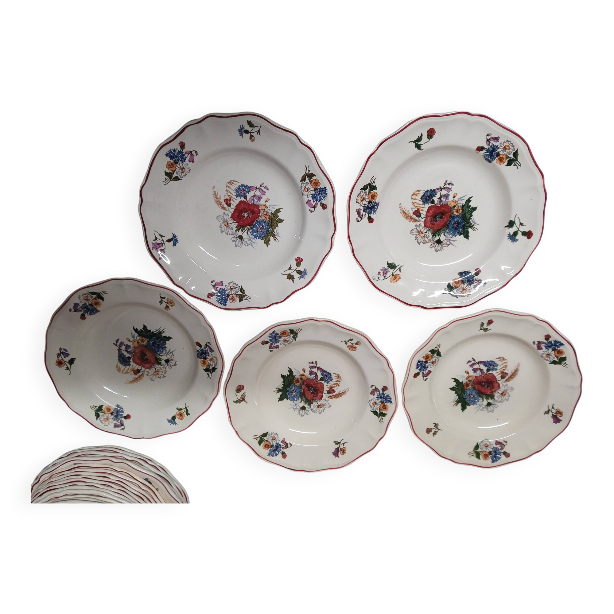 5 soup plates diameter 25 cm Agreste Sarreguemines