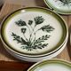 Plates and dish Gien herbarium décor