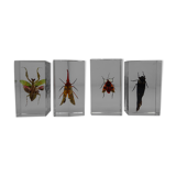 Lot 4 insects inclusion resins to identify vintage