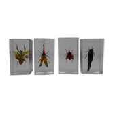 Lot 4 insects inclusion resins to identify vintage