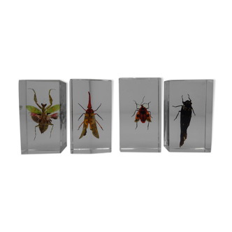 Lot 4 insects inclusion resins to identify vintage