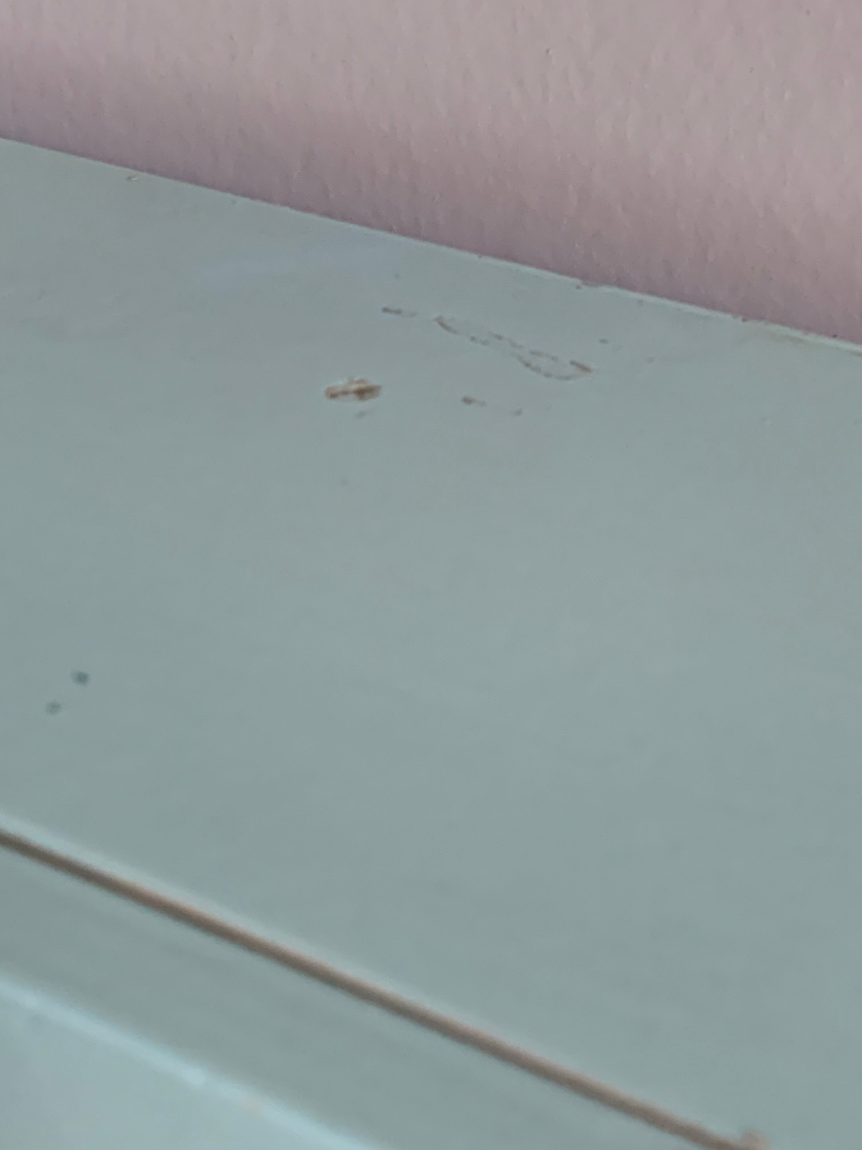 Vintage toilet cabinet