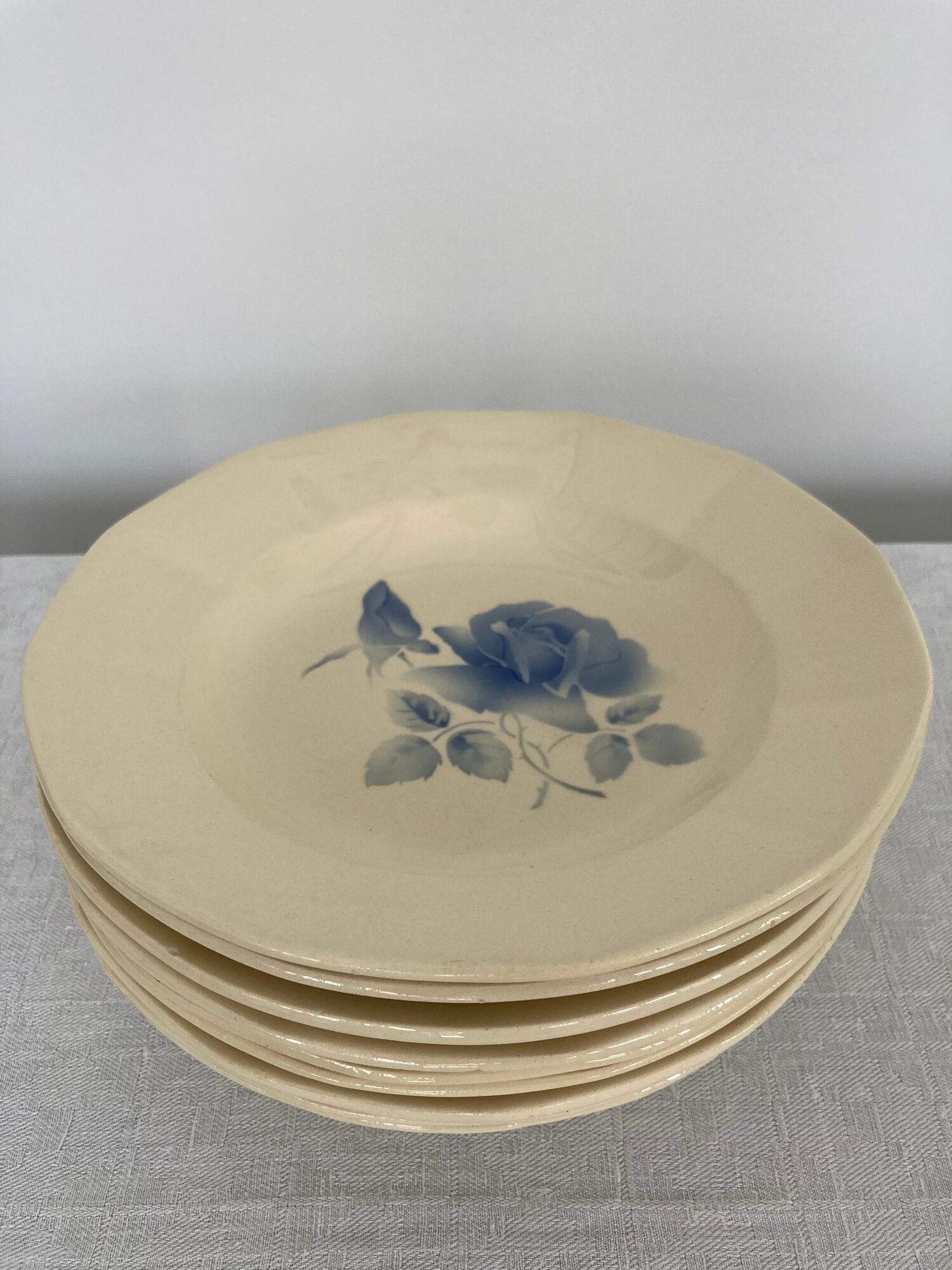 Set of 9 hollow plates Blue Roses Digoin Sarreguemines
