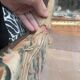 Antique chest hand-painted