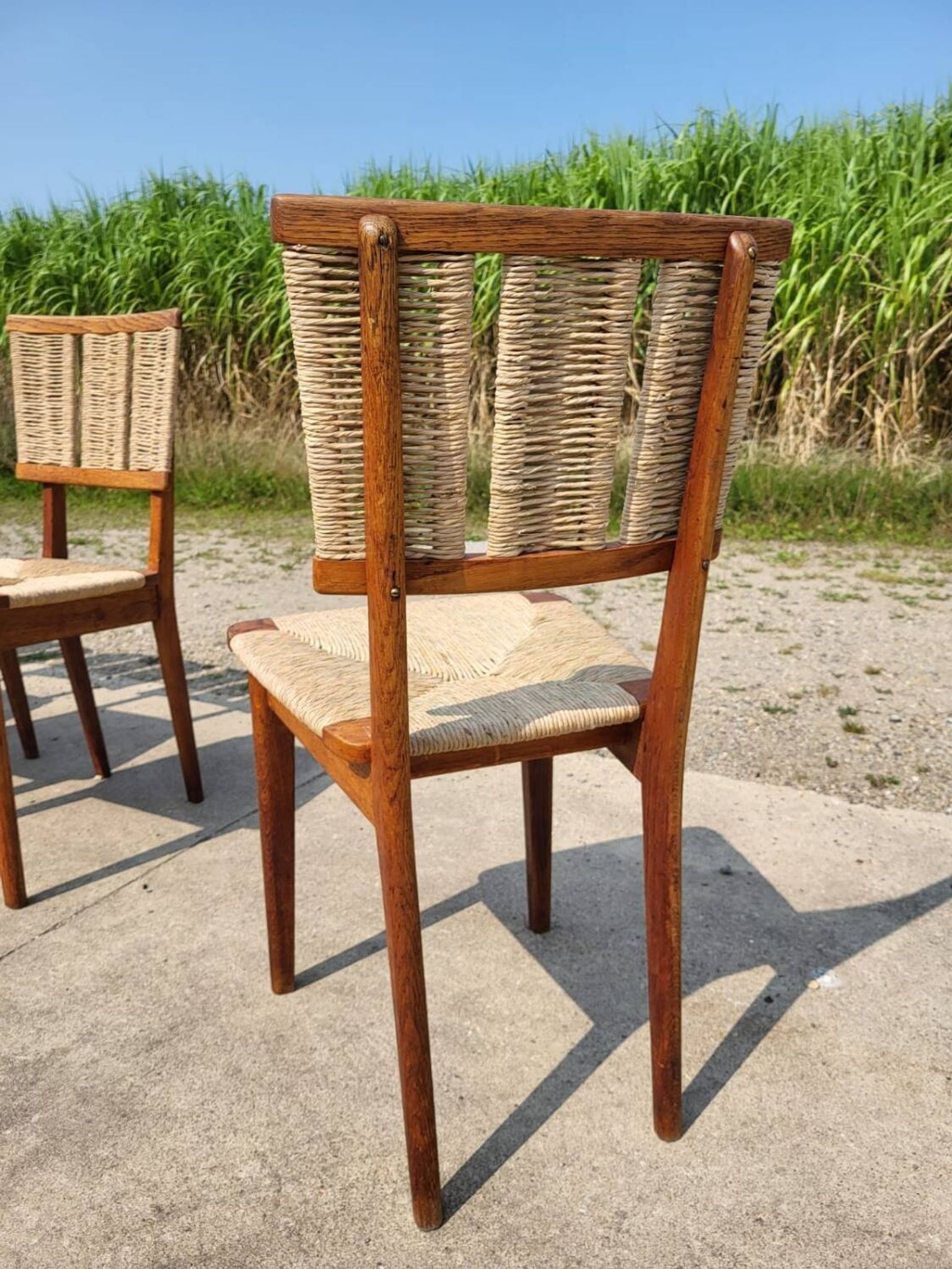 Set 6 vintage Dutch Design chair Mart Stam a2-1 wood rush rustic 1947