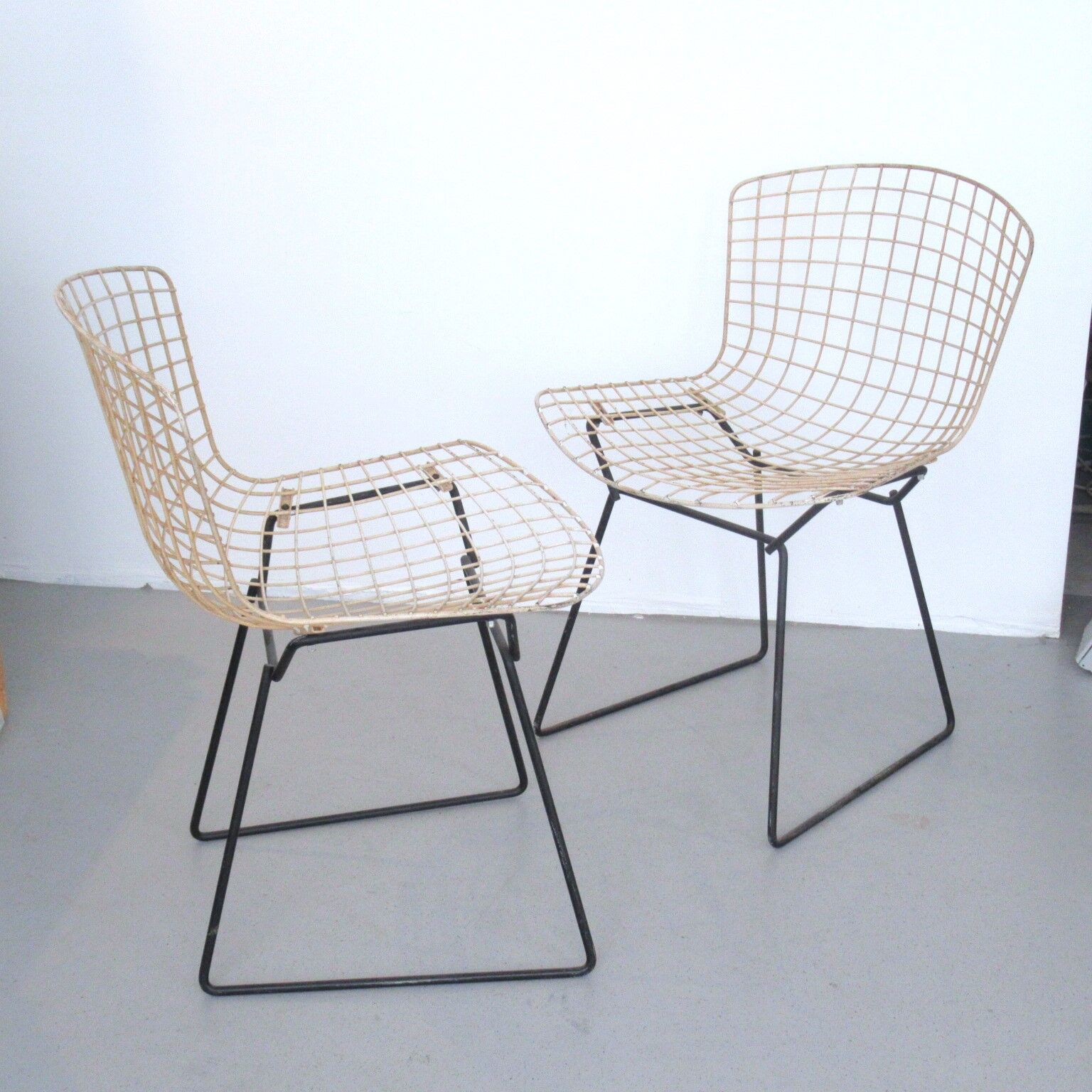 Pair of chairs Harry Bertoia Knoll International
