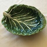 Salad bowl or vegetable cabbage leaf in green slurry