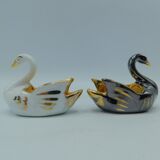 Couple of dirtyons, black swan and white swan