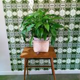 Vintage coffee table, side table, Czech, Dřevopodnik Holešov