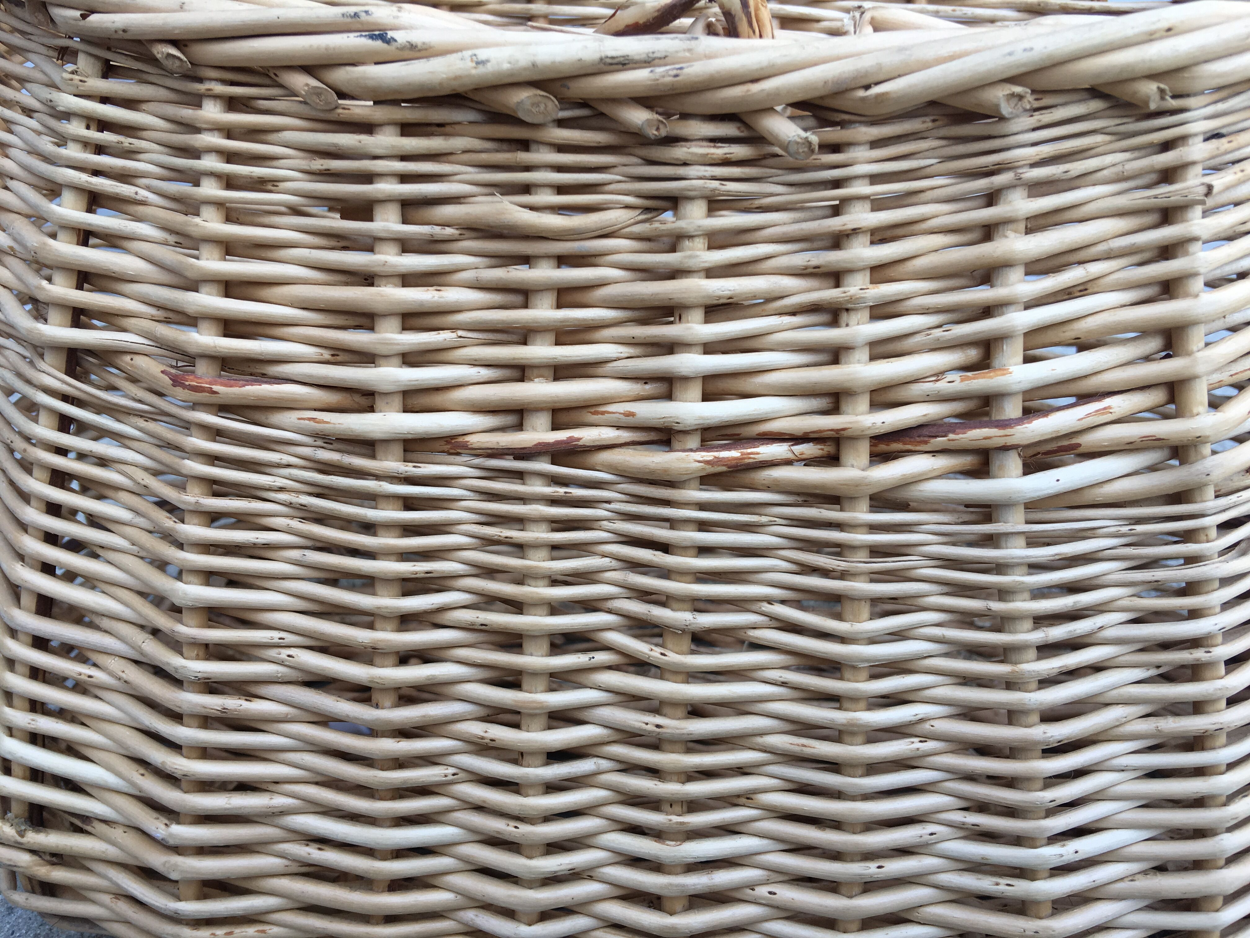 Former rattan fishing basket