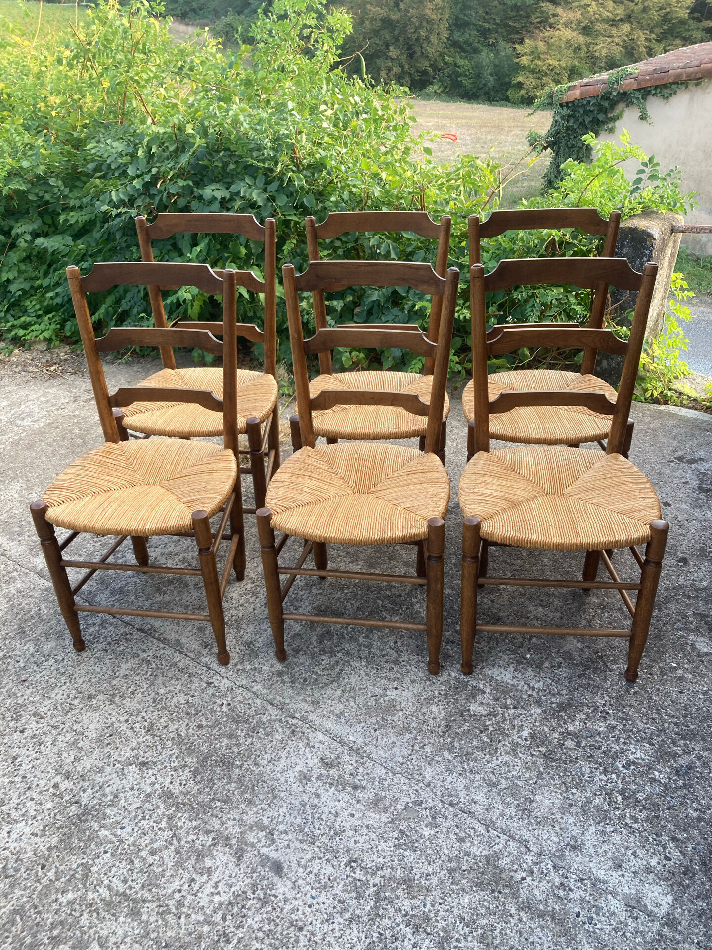 6 oak chairs