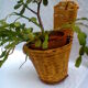 Wicker hood