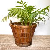 Rattan planters