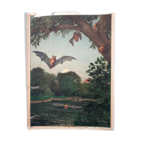 Affiche "Chauve-souris" rare tableau éducatif lithographie 1914