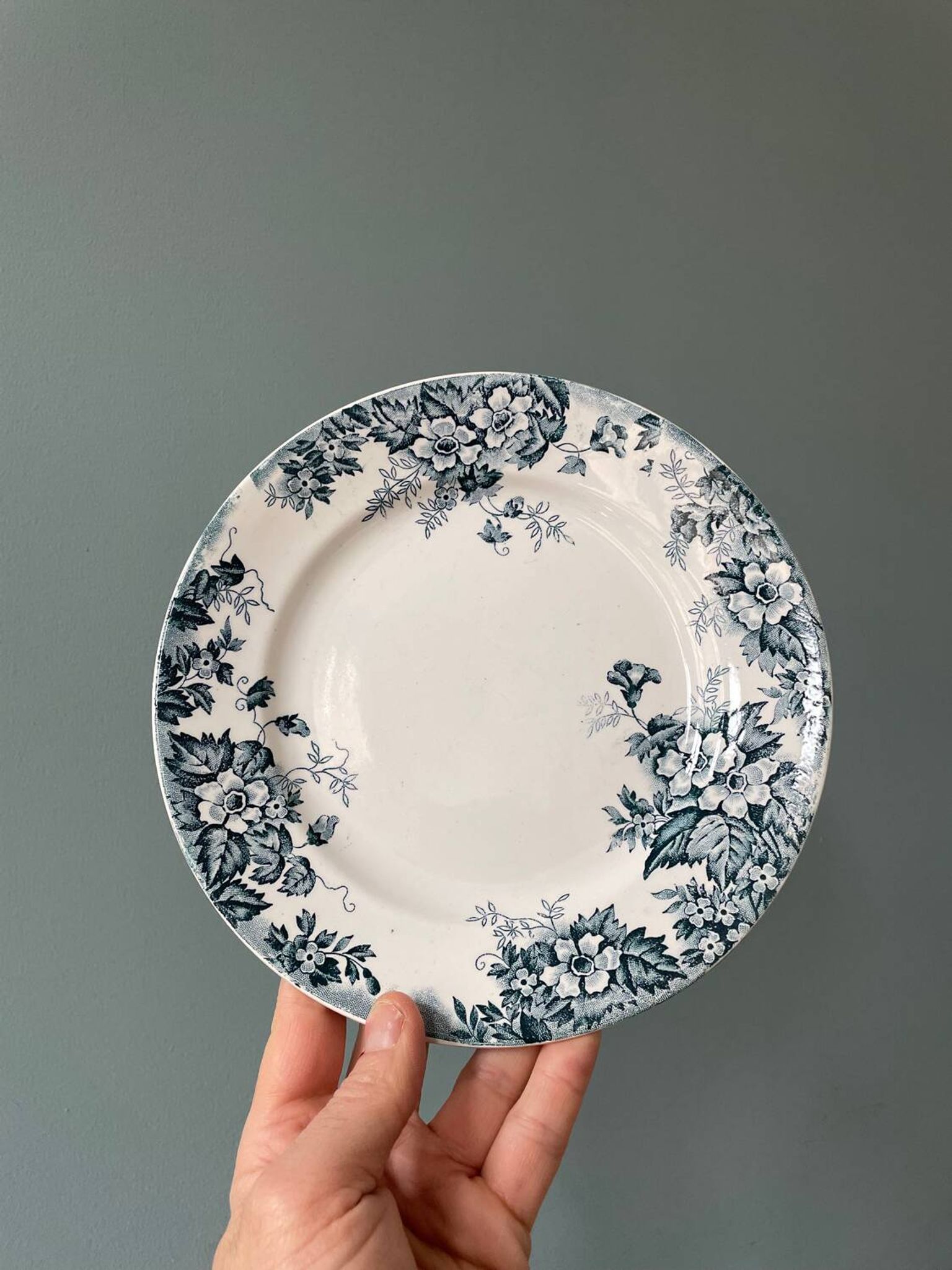 Series of 9 flat plates Terre de Fer “Marie-Louise” St Amand and Hamage