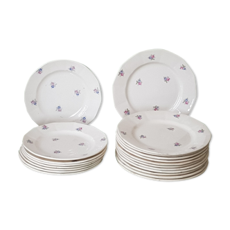 Set of 20 earthenware plates by Digoin Sarreguemines
