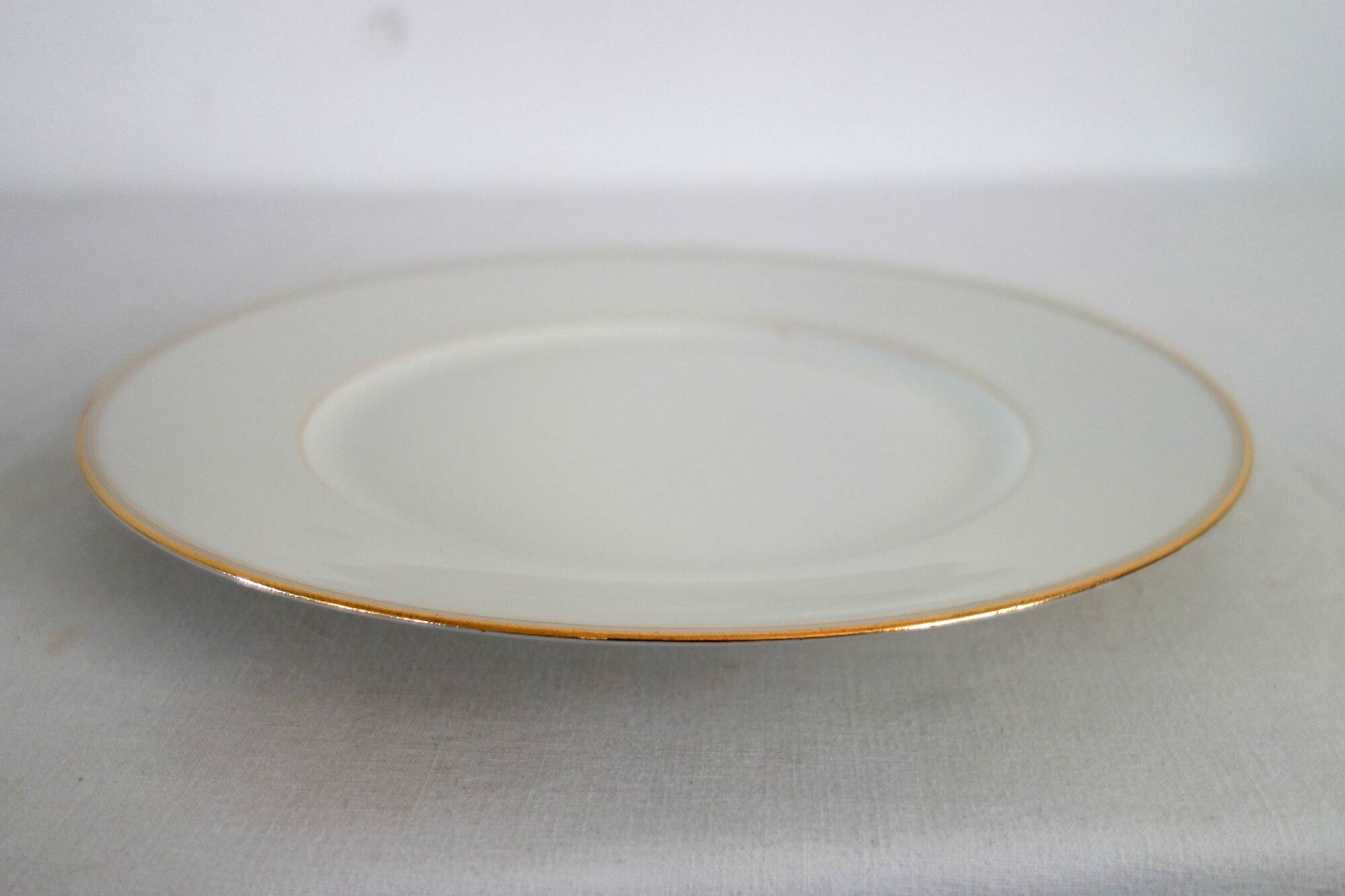 Set of 24 Limoges porcelain dinner plates