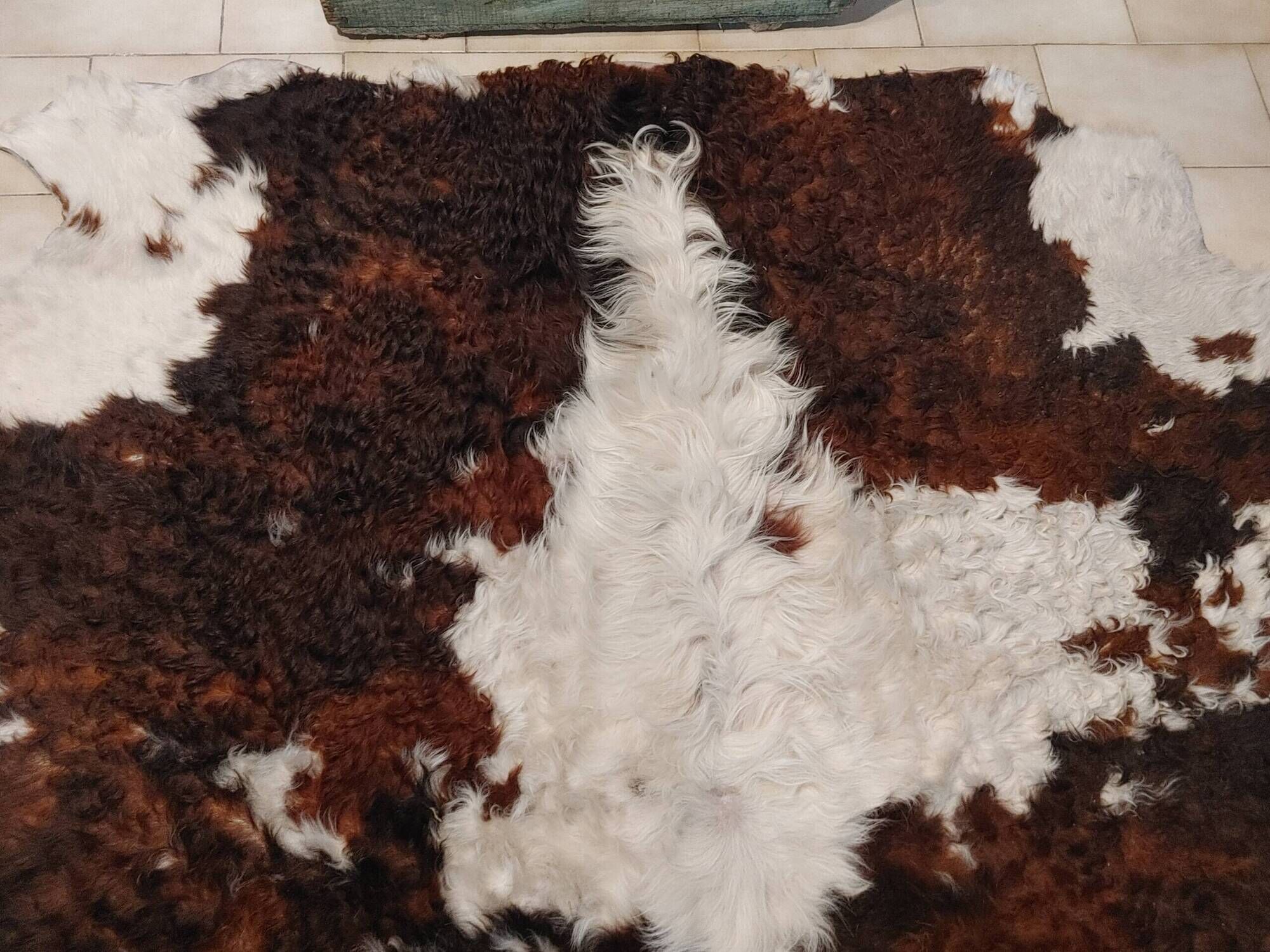 Rug, Large cowhide with fairly long hair - Vintage 70's Tannerie Barjols