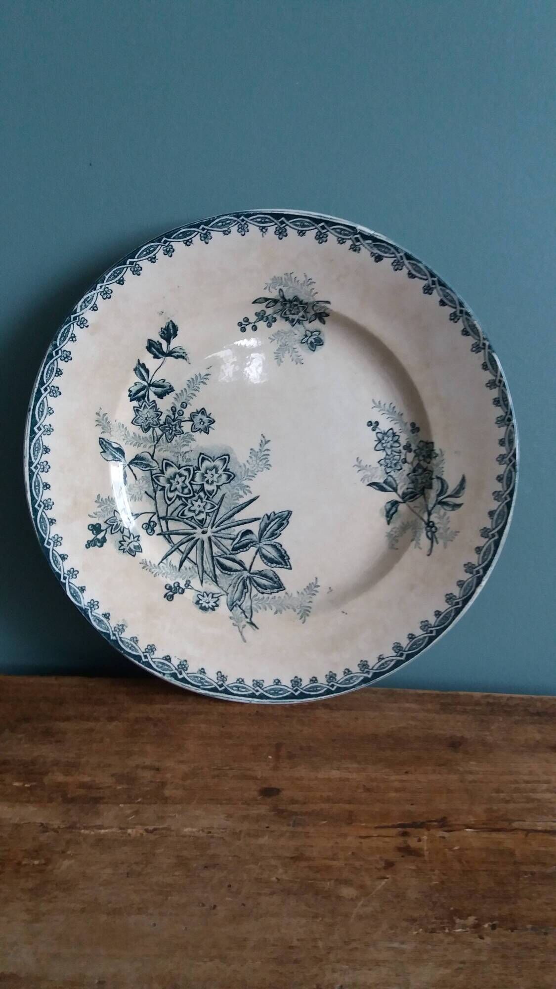 Flat plate, ironstone, Saint Amand, Margot decoration, Amandinoise company, 1920.