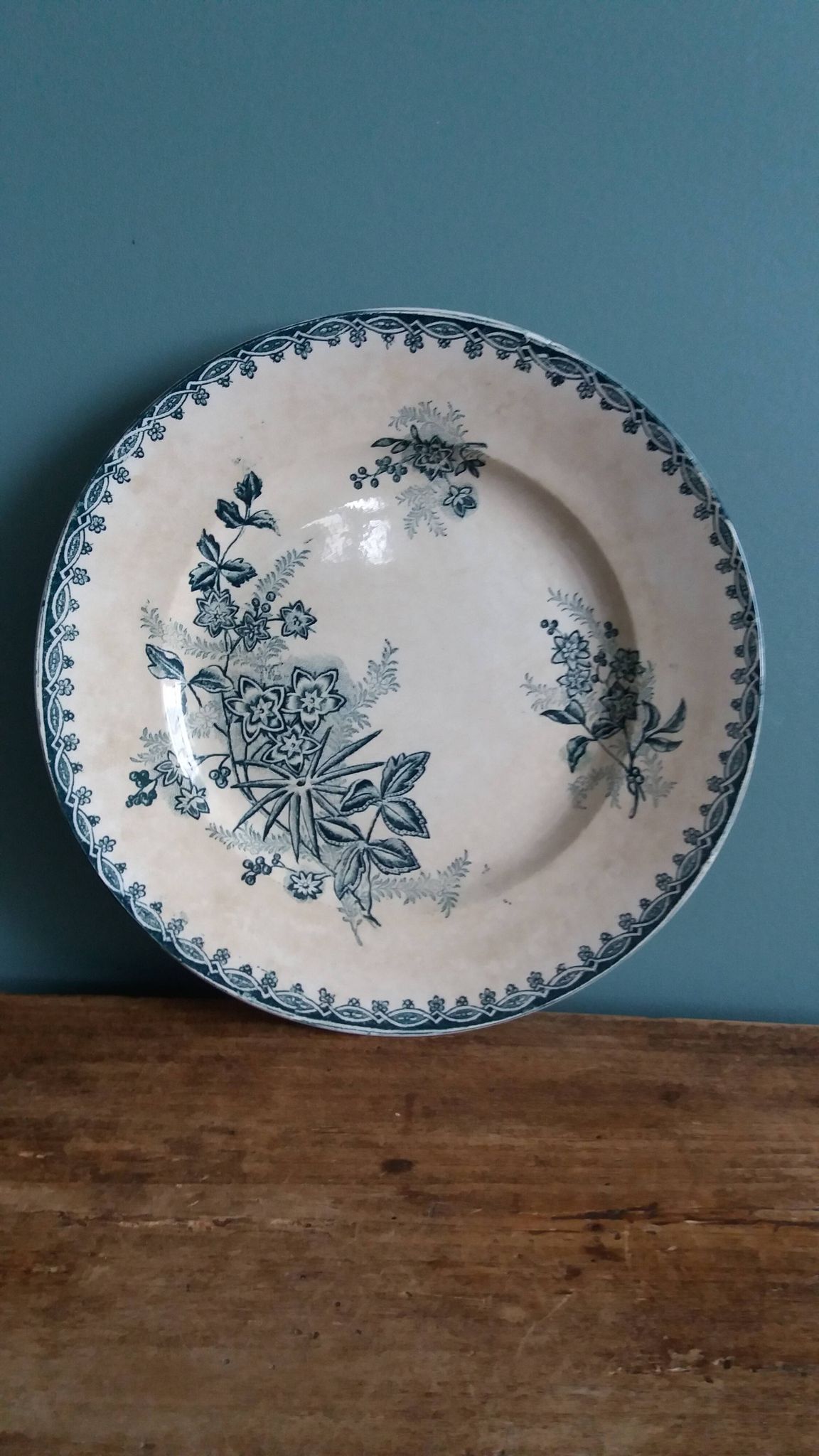 Flat plate, ironstone, Saint Amand, Margot decoration, Amandinoise company, 1920.