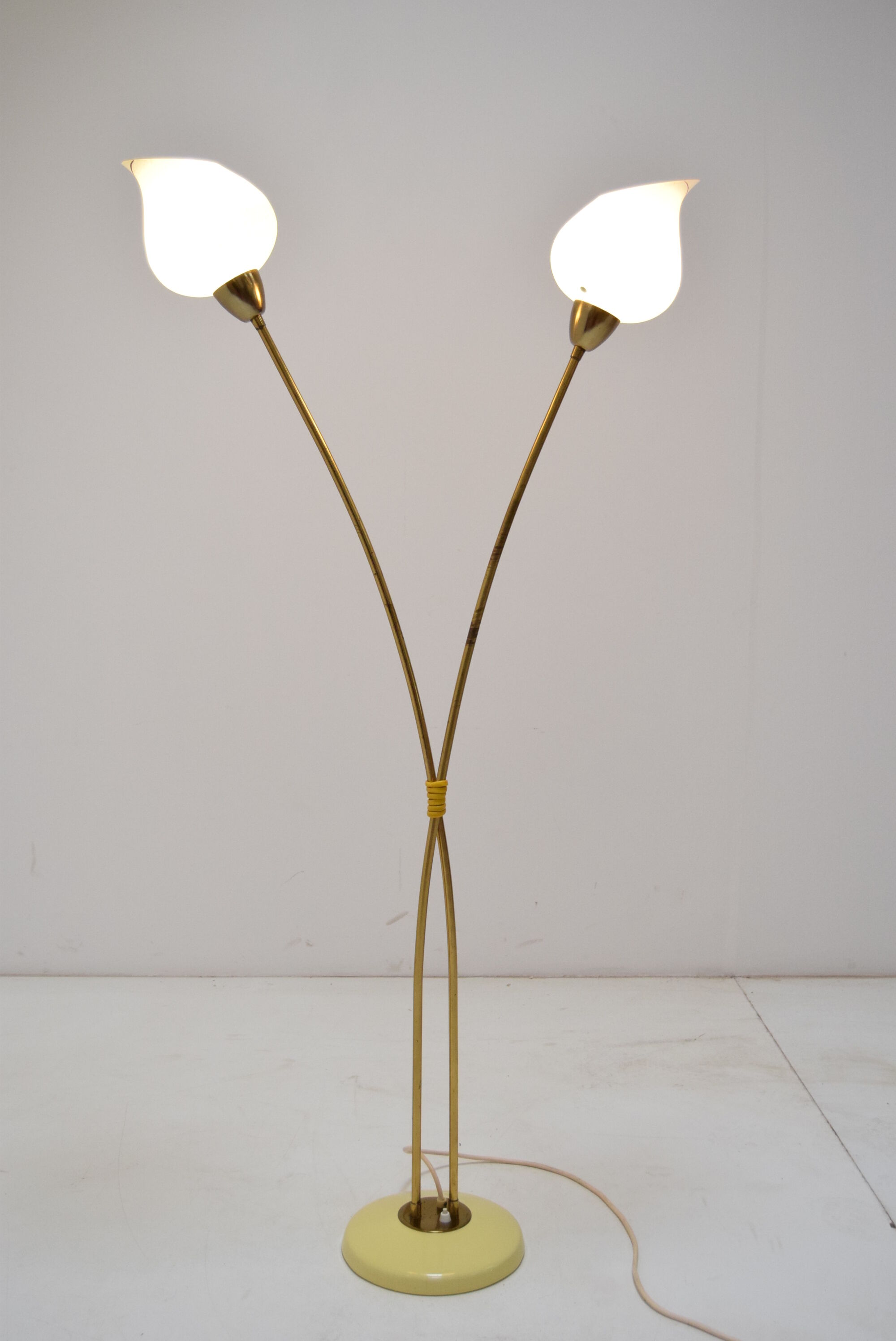 Mid-century Floor Lamp by  Kamenicky Senov,1950‘s.