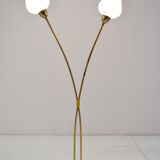 Mid-century Floor Lamp by  Kamenicky Senov,1950‘s.