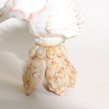 Mid-Century Souvenir Shell Lamp, France 1960s