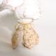 Mid-Century Souvenir Shell Lamp, France 1960s