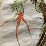 Antiphonary page XVIIIth Renaissance