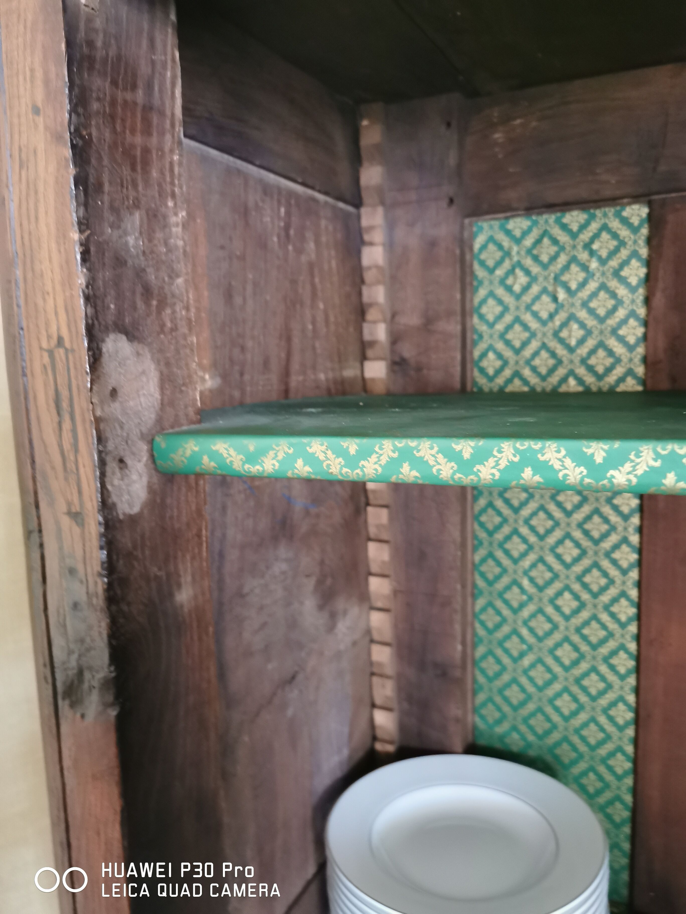 Good man standing oak