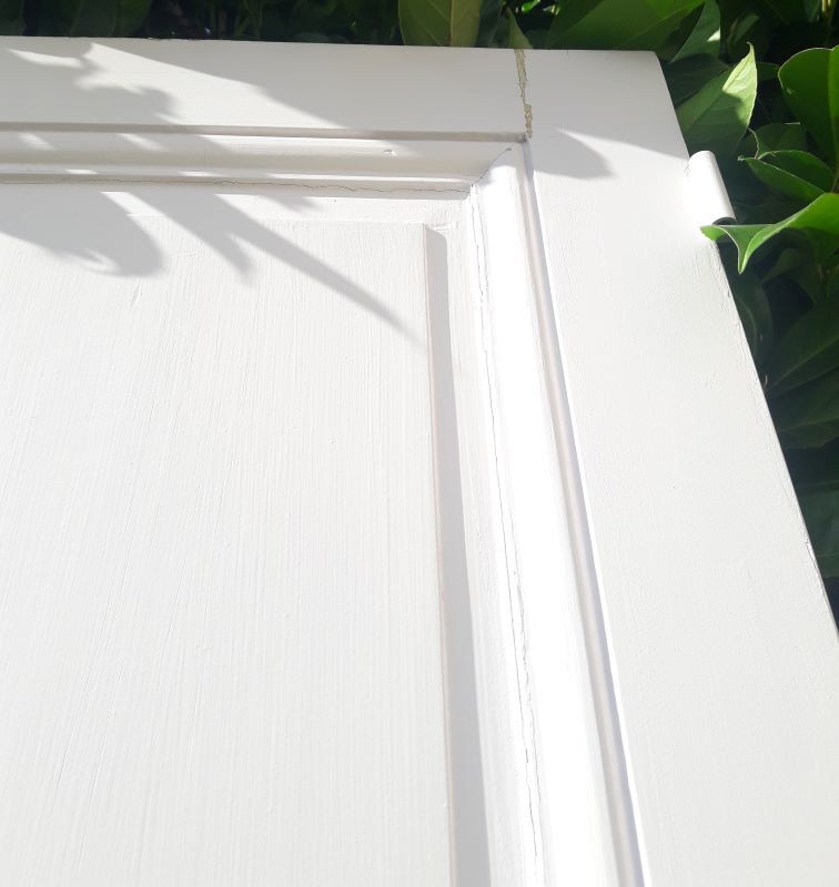 Pair of doors 229,5x110cm closet
