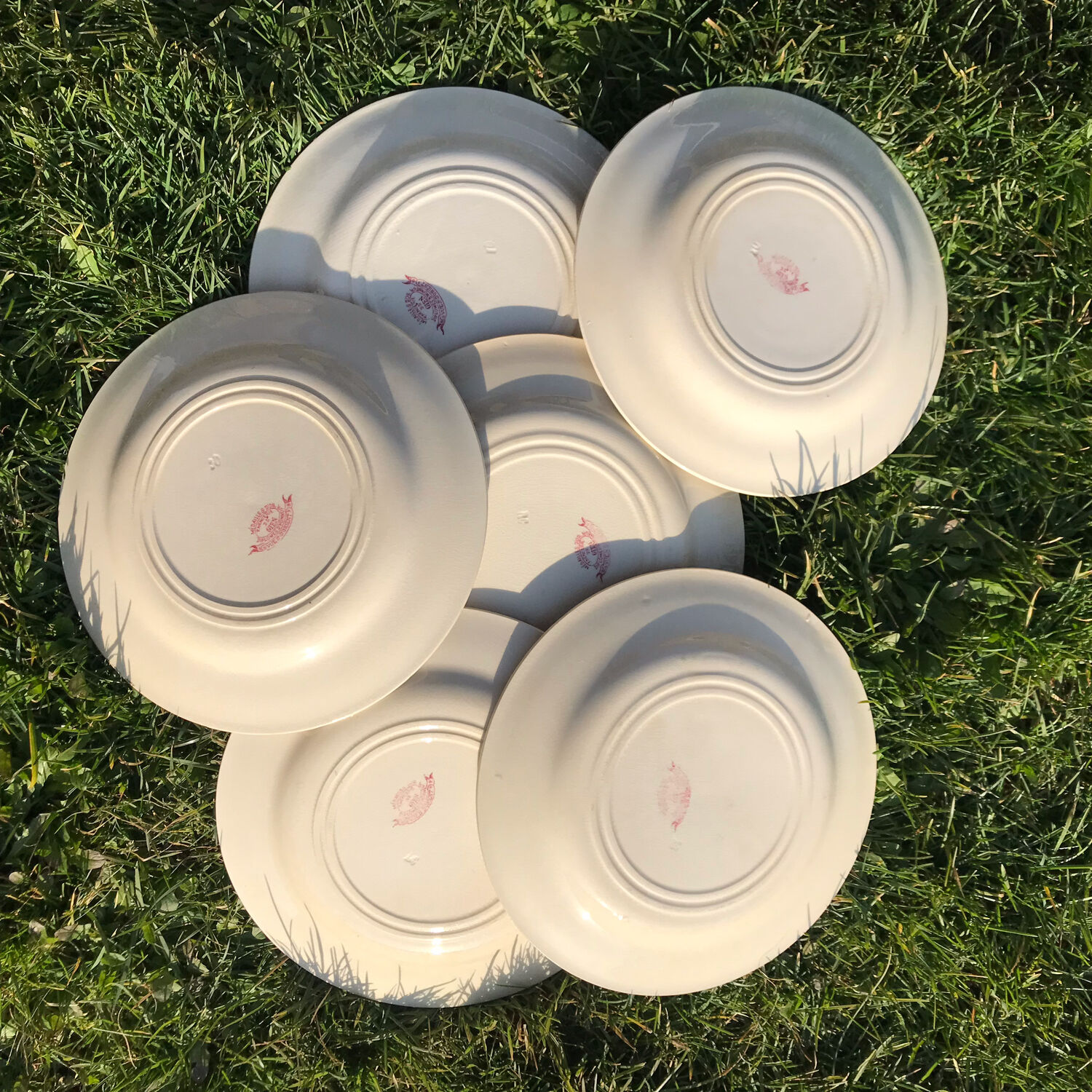 6 flat plates seen from oriental pink Shabby