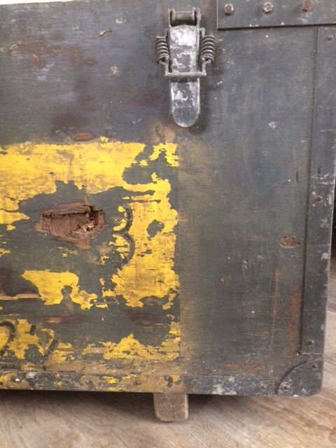 Transport trunk